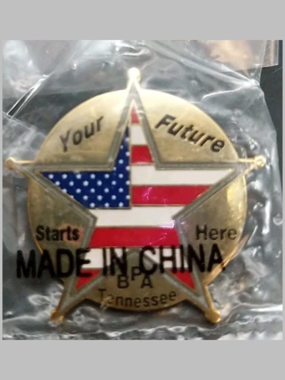 BPA Business Professionals of America Tennessee Your Future Starts Here Star Pin